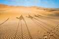 Morocco, Merzouga: shadows of a camel caravan