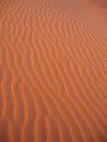 Morocco, Sahara desert's glowing orange dunes