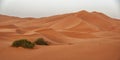 Morocco. Sand dunes of Sahara desert Royalty Free Stock Photo