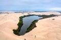 The Moron Oasis in the Atacama Desert, Peru Royalty Free Stock Photo