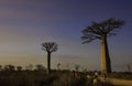 MORONDAVA-MADAGASCAR-OCTOBER-7-2017: The local people with a Sunset in the famous Avenida de Baobab near Morondava in Madagascar