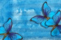 Morpho blue butterfly and notes. Butterfly melody. Old music sheet in blue watercolor paint. Blues music concept. Abstract blue wa Royalty Free Stock Photo