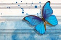 Morpho blue butterfly and notes. Butterfly melody. Photo of old music sheet in blue watercolor paint. Blues music concept. Abstrac