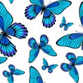 Morpho Butterflies Seamless Surface Pattern Blue Butterfly Repeat Pattern for Textile Design, Fabric Printing, Fashion, Wallpaper Royalty Free Stock Photo