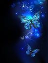 Morpho butterfly in the dark