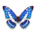 Morpho cypris butterfly illustration with iridescent blue wings