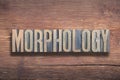 Morphology word wood