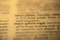 morphology word dict Royalty Free Stock Photo