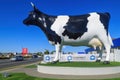 The `Morrinsville Mega Cow` in Morrinsville, New Zealand Royalty Free Stock Photo