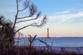 Morris Island Lighthouse in the distance, framed by bare trees a Royalty Free Stock Photo