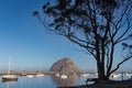 Morro Bay Rock in the morning sun Royalty Free Stock Photo