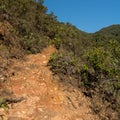 Morro do Bonet steep trail Royalty Free Stock Photo