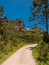 Morro dos Cabritos canyon with trees, rock and dirty road in Santa Catarina, Brazil