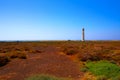 Morro Jable Matorral wetland Jandia in Pajara Royalty Free Stock Photo