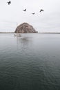 Morro Rock Royalty Free Stock Photo