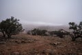 Morrocan desert with mist and trees.