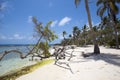 Morrocoy National park, a paradise with coconut trees, white san