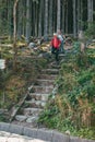 Morske oko, Poland - September 12, 2019: couple seniors hiking with sticks by forest trail