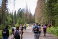 Morskie oko, Poland - August 08, 2019: Crowd in road to Morskie oko. Many people walking on footpath to famous place in Tatra Moun