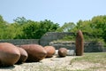 Mortar Artillery Shells at Sandy Hook Lighthouse New Jersey Royalty Free Stock Photo