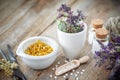 Mortar and bowl of dried healing herbs and bottles of homeopathic globules. Royalty Free Stock Photo
