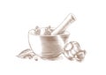 Mortar bowl and pestle with spice, herb and garlic Royalty Free Stock Photo