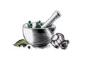 Mortar bowl and pestle with spice, herb and garlic Royalty Free Stock Photo