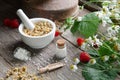 Mortar of dried daisies herbs, homeopathic globules and chamomile plants. Royalty Free Stock Photo