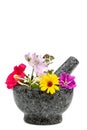 marble mortar with flowers of chamomile, clover, oregano, mignonette, isolated on white background