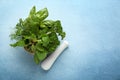 Mortar with fresh aromatic herbs and pestle on color background