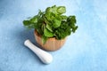 Mortar with fresh aromatic herbs and pestle on color background