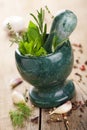 Mortar with fresh herbs Royalty Free Stock Photo