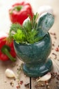 Mortar with fresh herbs Royalty Free Stock Photo