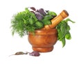 Mortar with fresh herbs and pestle on white background Royalty Free Stock Photo