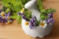 Mortar with fresh lavender, chamomile flowers, herbs and pestle on wooden table, closeup Royalty Free Stock Photo