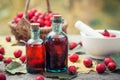 Mortar of hawthorn berries, two tincture or infusion bottles and basket of thorn apples on wooden board. Royalty Free Stock Photo