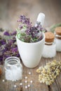 Mortar of healing herbs and bottles of homeopathic globules. Royalty Free Stock Photo