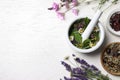 Mortar with healing herbs and pestle on white table, flat lay. Space for text Royalty Free Stock Photo