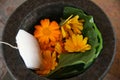 Mortar, Herbalism, Tea Bag Naturopathy, Flowers Healing Herbs, Dried Flowers, Medicinal, Holistic Still Life, Floral