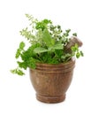 Mortar with herbs Royalty Free Stock Photo