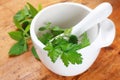 Mortar and pestle with fresh herbs