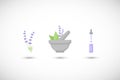 Mortar herbs with lavender flat icon set