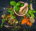 Mortar with herbs and spices Royalty Free Stock Photo