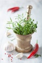 Mortar with herbs and spices Royalty Free Stock Photo