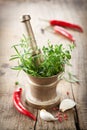 Mortar with herbs and spices Royalty Free Stock Photo