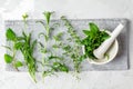 Mortar with herbs and spices. Fresh herbs selection included rosemary, thyme, mint, lemon balm, parsley and arugula Royalty Free Stock Photo