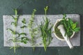 Mortar with  herbs and spices. Fresh herbs selection included rosemary, thyme, mint, lemon balm, parsley and arugula. Overhead Royalty Free Stock Photo