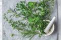 Mortar with  herbs and spices. Fresh herbs selection included rosemary, thyme, mint, lemon balm, parsley and arugula. Overhead Royalty Free Stock Photo