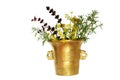 Mortar with herbs on white Royalty Free Stock Photo