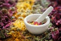 Mortar of medicinal herbs. Dried echinacea, calendula, wild marjoram, rose petals. Royalty Free Stock Photo